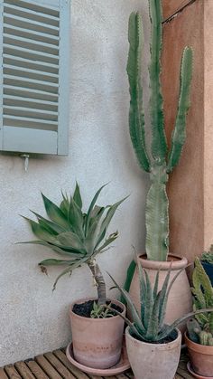 three potted plants are sitting on a wooden table in front of a wall mounted air conditioner