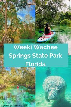 the words weeki waachee springs state park florida on top of pictures of people in kayaks