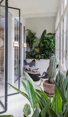 a room filled with lots of plants and furniture