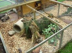 an outdoor area with plants and rocks in it