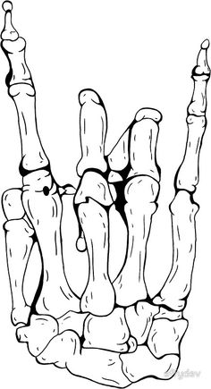 the bones of the hand and foot are shown in black and white, with no background