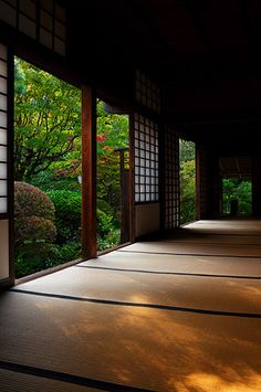 an empty room with large open doors leading to trees and bushes in the distance,