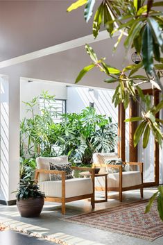 a living room filled with furniture and lots of plants