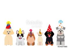 a group of dogs sitting next to each other on top of a white background with the word