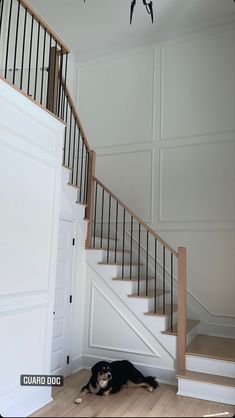 a dog laying on the floor in front of a stair case next to a door