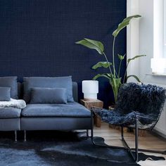 a living room filled with furniture and a large plant in the middle of the room