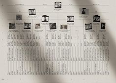 an old family tree is shown with many pictures on the back side and below it