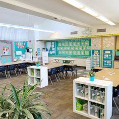 an empty classroom with desks, chairs and plants on the floor in front of them