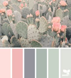 the color palette is pink, green and gray with cacti in different colors