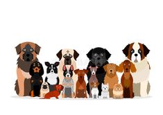 a group of dogs sitting next to each other on top of a white background,