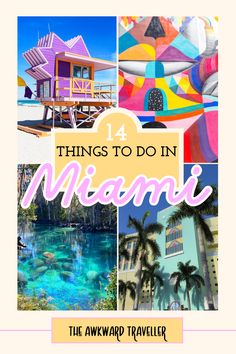 the top things to do in miami