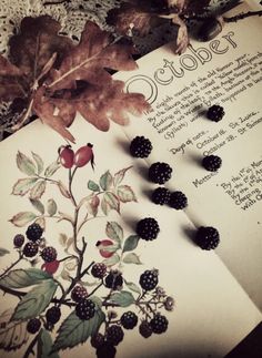 an open book with blackberries and leaves on it