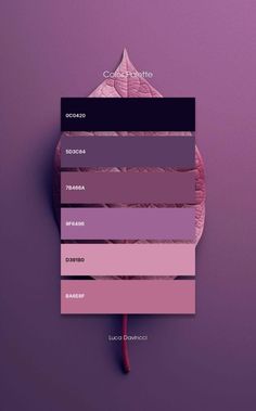 the color palette is in shades of pink and purple