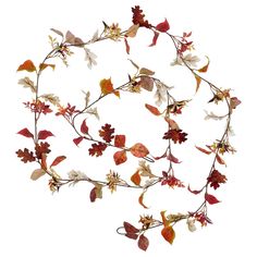 an arrangement of leaves and flowers on a white background