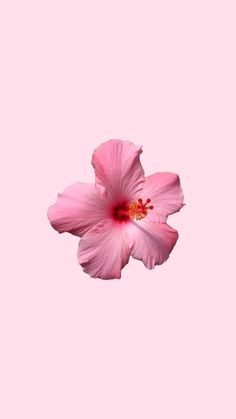 a pink flower is floating in the air