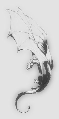 a drawing of a dragon on a white background