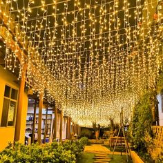 an outdoor area with lights hanging from the ceiling and plants growing on the ground below