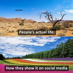 there are two different pictures with trees and flowers in the middle one has people's actual life how they show it on social media