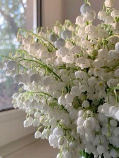 a vase filled with white flowers sitting on top of a window sill next to a window