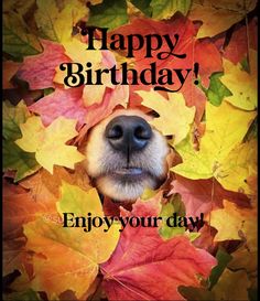 a happy birthday card with a dog's face surrounded by autumn leaves