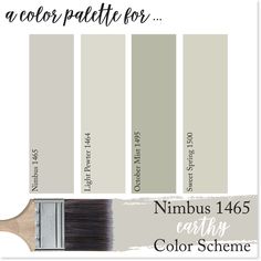 Revere Pewter Color Scheme, Pewter Color Scheme, Revered Pewter Color Scheme, Pewter Revere, Relaxing Color Schemes, Light Paint Colors, Revere Pewter Benjamin Moore, Best Neutral Paint Colors, Bold Paint Colors