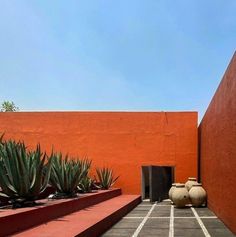 an orange wall and some plants in front of it