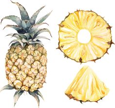 the pineapple is cut in half and ready to be used as an art project