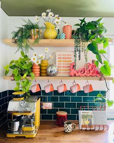 some plants are sitting on shelves in the kitchen and coffee maker is next to them