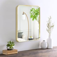 there is a mirror on the wall next to a potted plant and a lamp