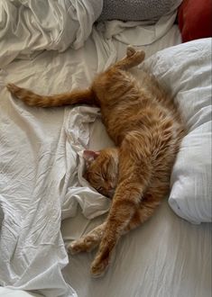 an orange cat laying on top of a bed covered in white sheets and pillow cases