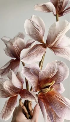 a person holding a flower in their hand with the petals still attached to it's stems