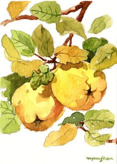 watercolor painting of yellow apples and leaves on white paper with green leafy branches