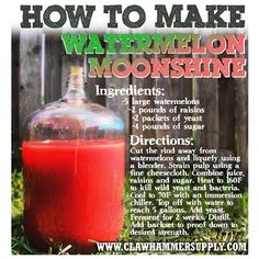 an advertisement for how to make watermelon moonshint, with a bottle full of liquid