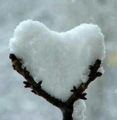 a heart shaped piece of snow on top of a tree branch with the words tu coran es tan frio como el hi