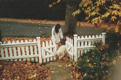 a woman standing next to a white picket fence with a dog on the ground in front of it