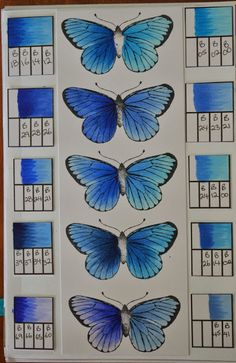 blue butterflies with numbers on them