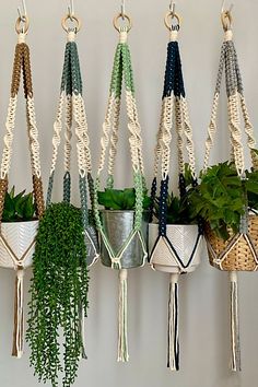 several hanging planters with plants in them on a white wall next to a potted plant