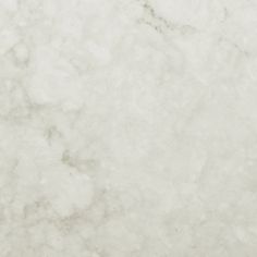 a white marble texture with some black dots