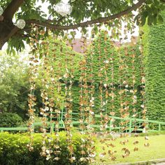 a tree that has some flowers hanging from it