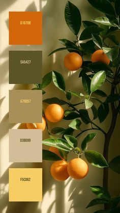 an orange tree with lots of fruit on it and some colors in the same color scheme