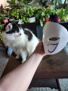 a black and white cat sitting on top of a table next to a person holding a mask