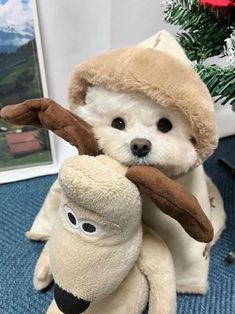 a small white dog holding onto a stuffed animal