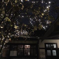 a tree with lights hanging from it's branches in front of a building at night