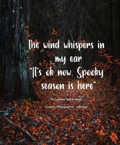 a forest filled with lots of leaves next to a quote about the wind whispers in my ear it's ok now spooky season is here