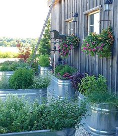 several large metal containers filled with plants next to a wooden building and window sill