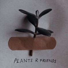 a plant that is sitting on top of a piece of paper with the words plants r friends