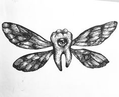 a black and white drawing of a dragonfly with its wings spread out to the side