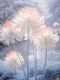 three white flowers with pink centers in front of a body of water and trees on the other side