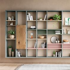 a living room filled with lots of bookshelves next to a wall mounted plant