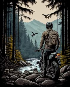 a man riding on the back of a motorcycle down a river surrounded by pine trees